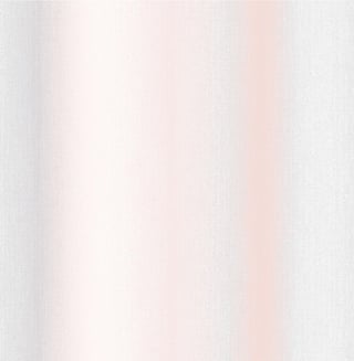 Wild Flower Stripe Blush Wallpaper - 104076_TILE_WILDFLOWER STRIPE BLUSH_01.jpg