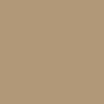 Toasted Almond Paint - 147331_PAINTTILE.jpg