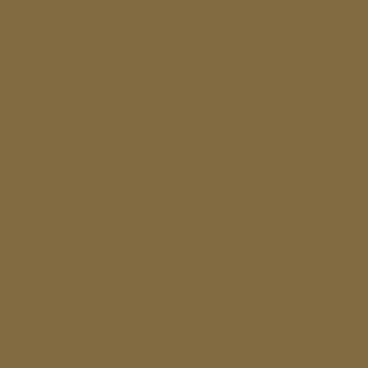 Amber Earth Paint - 147395_PAINTTILE.jpg