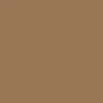 Toasted Teacake Paint - 111063_PAINTTILE_.jpg