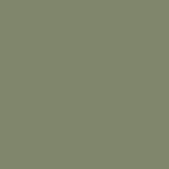 Sage Paint colour