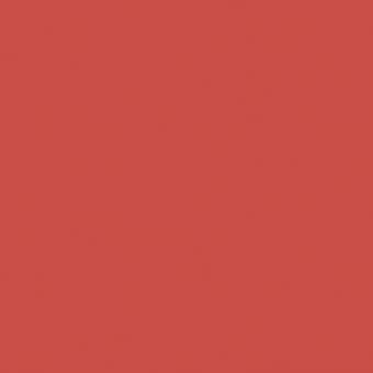 Peinture King Of Paradise