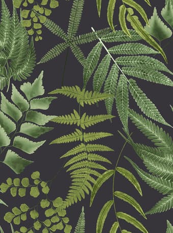 Midsummer Fern Black Wallpaper - 107879_TILE_MIDSUMMER FERN BLACK_01.jpg