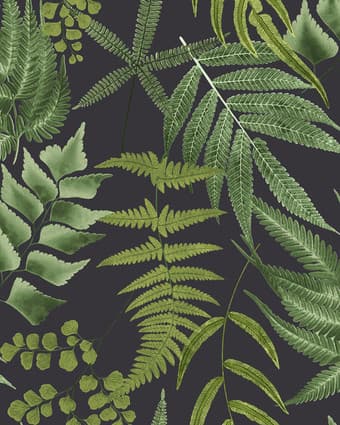 Midsummer Fern Black Wallpaper - 107879_TILE_01.jpg