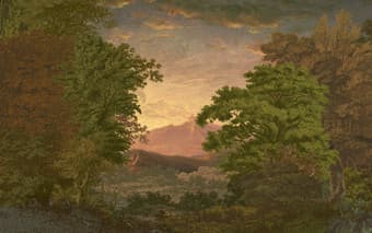 Sketch Forest Morning Bespoke Mural - 117791_TILE_01.jpg