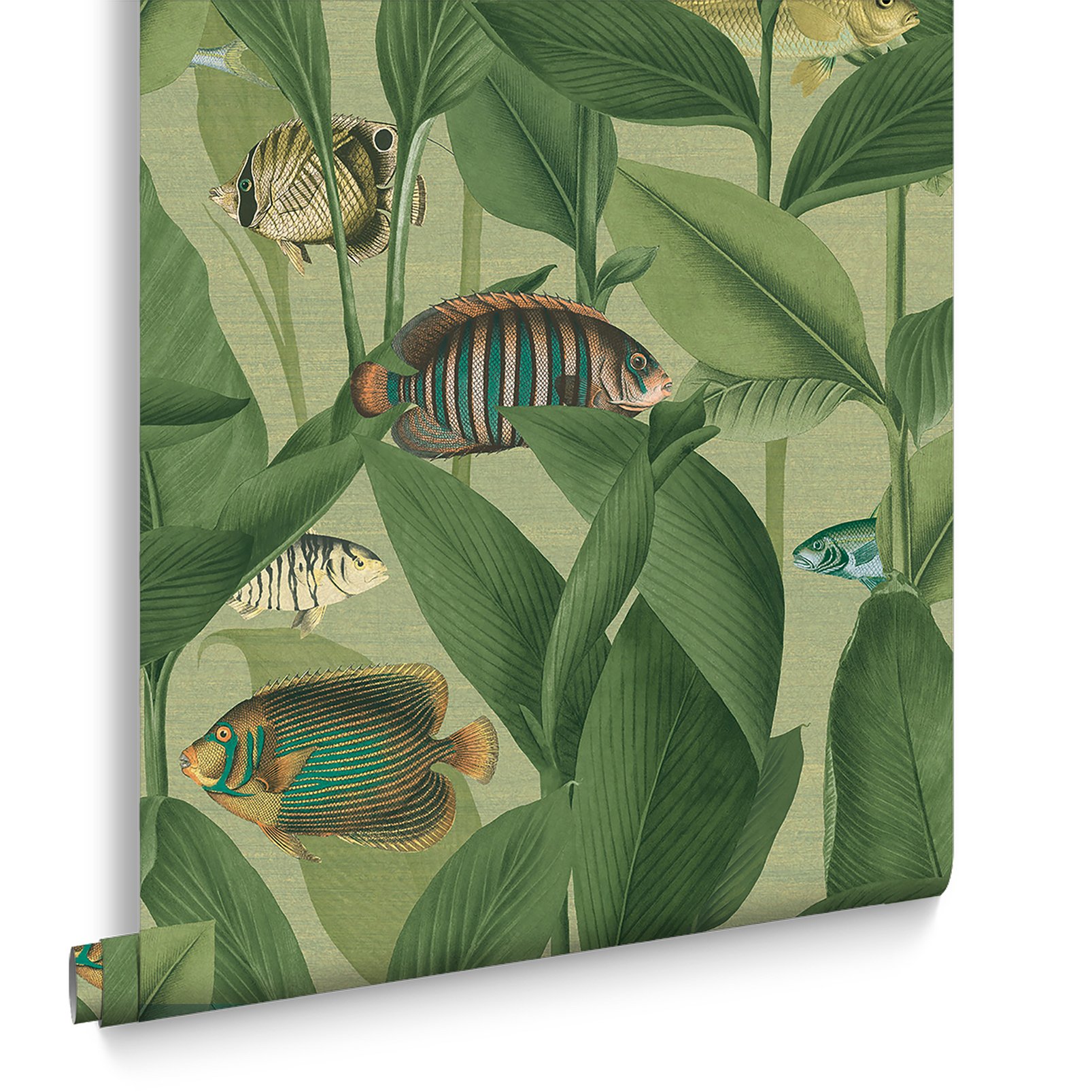 Aquarium Green Wallpaper hanging rollshot image