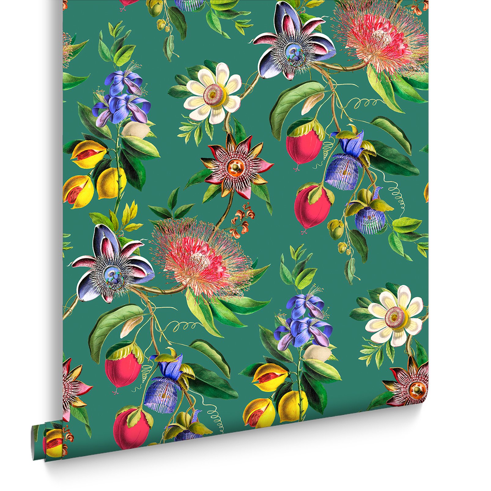 Physic Garden Teal Wallpaper - 127918_DIGITAL ROLL_01.jpg