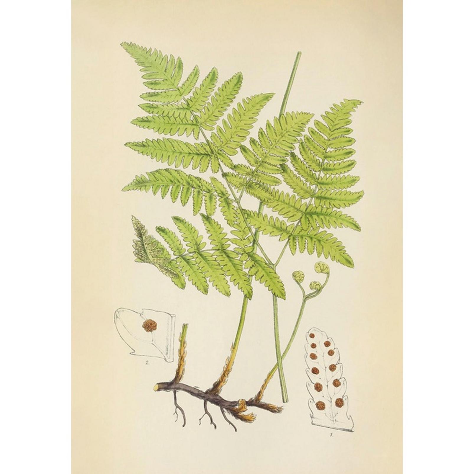 Branching Life Green Wall Art - 136067_TILE_01.jpg