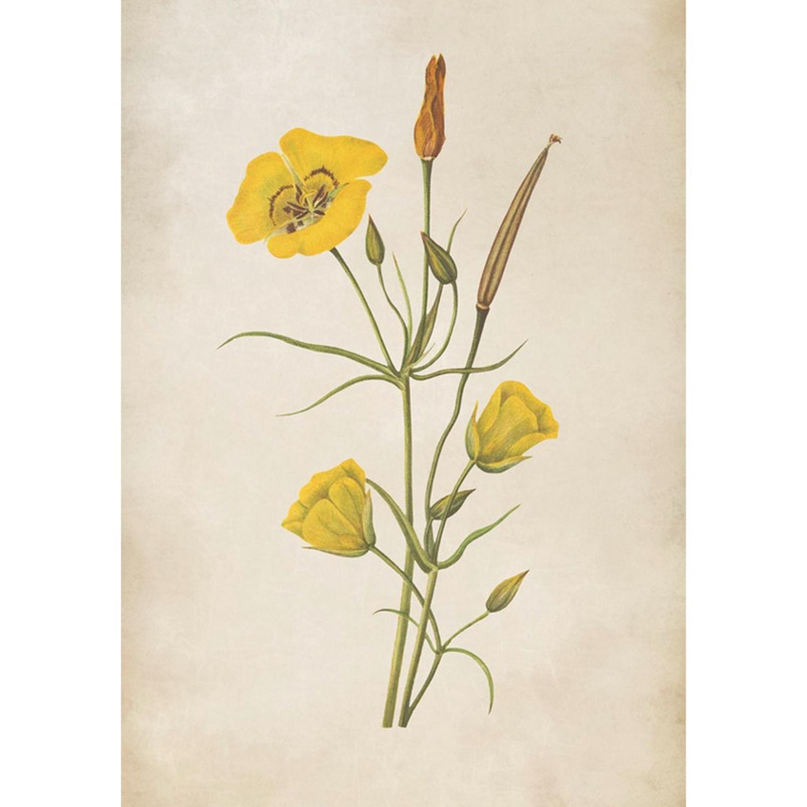Golden Wildflower Yellow Wall Art - 136133_TILE_01.jpg