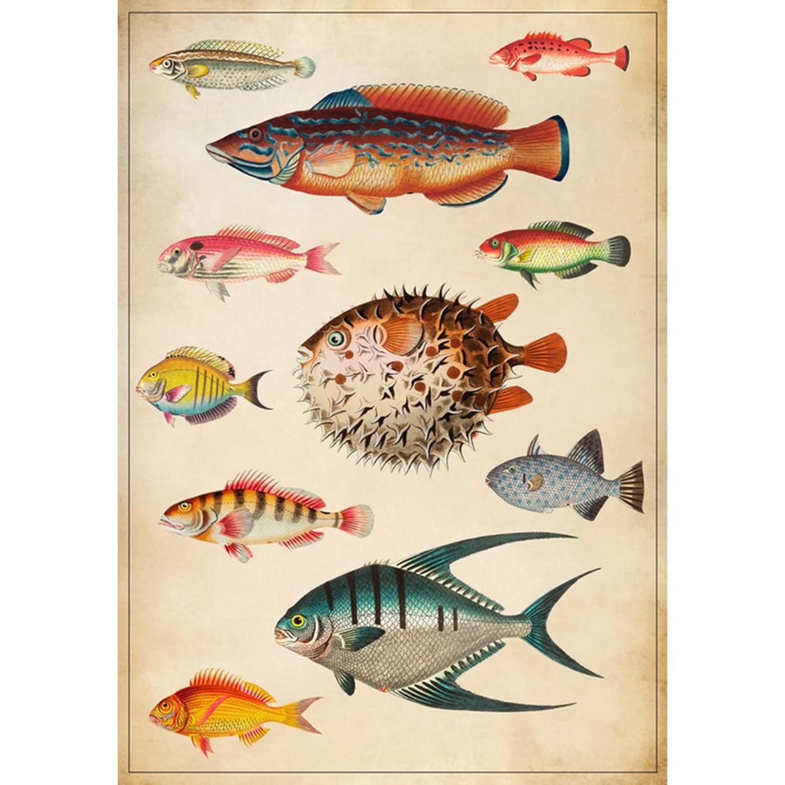 School of Thoughts Multicolour Wall Art - 136339_TILE_01.jpg