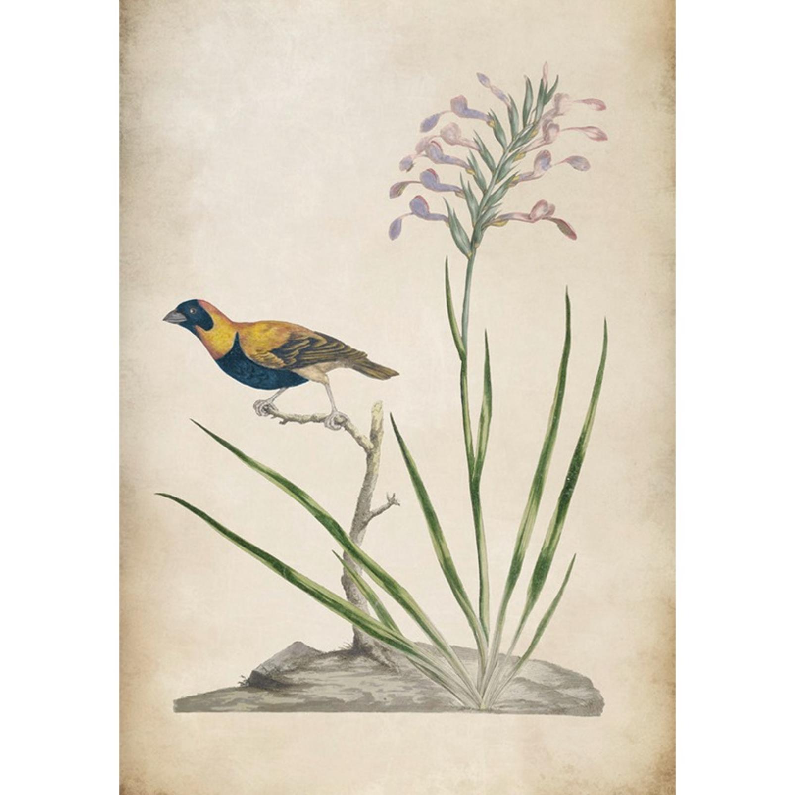 Birds Rest Multicolour Wall Art - 136232_TILE_01.jpg