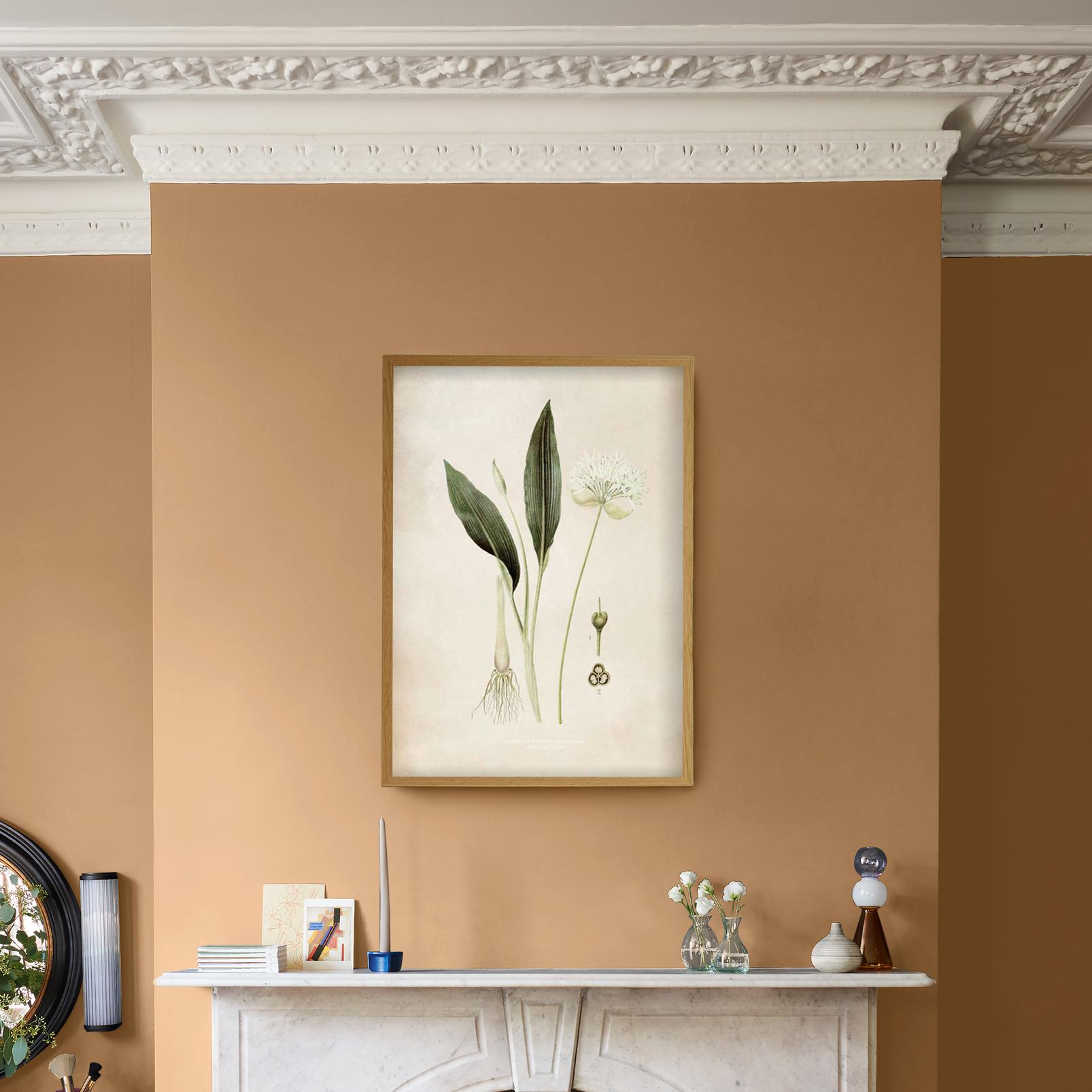 Allium Ursinum Green Wall Art - 136199_CAMEO_1.jpg