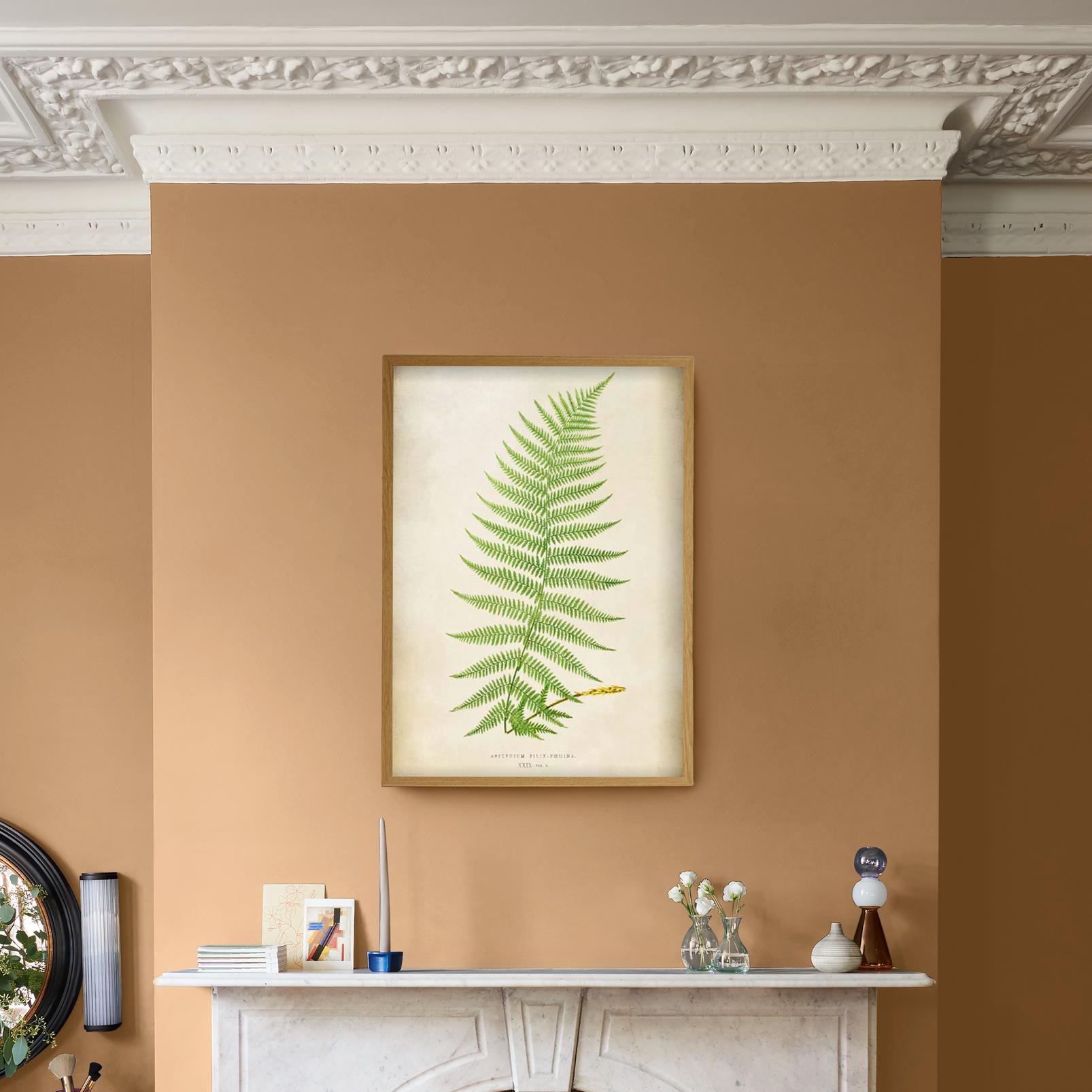 Asplenium Filix-Foemina Green Wall Art - 136166_CAMEO_1.jpg