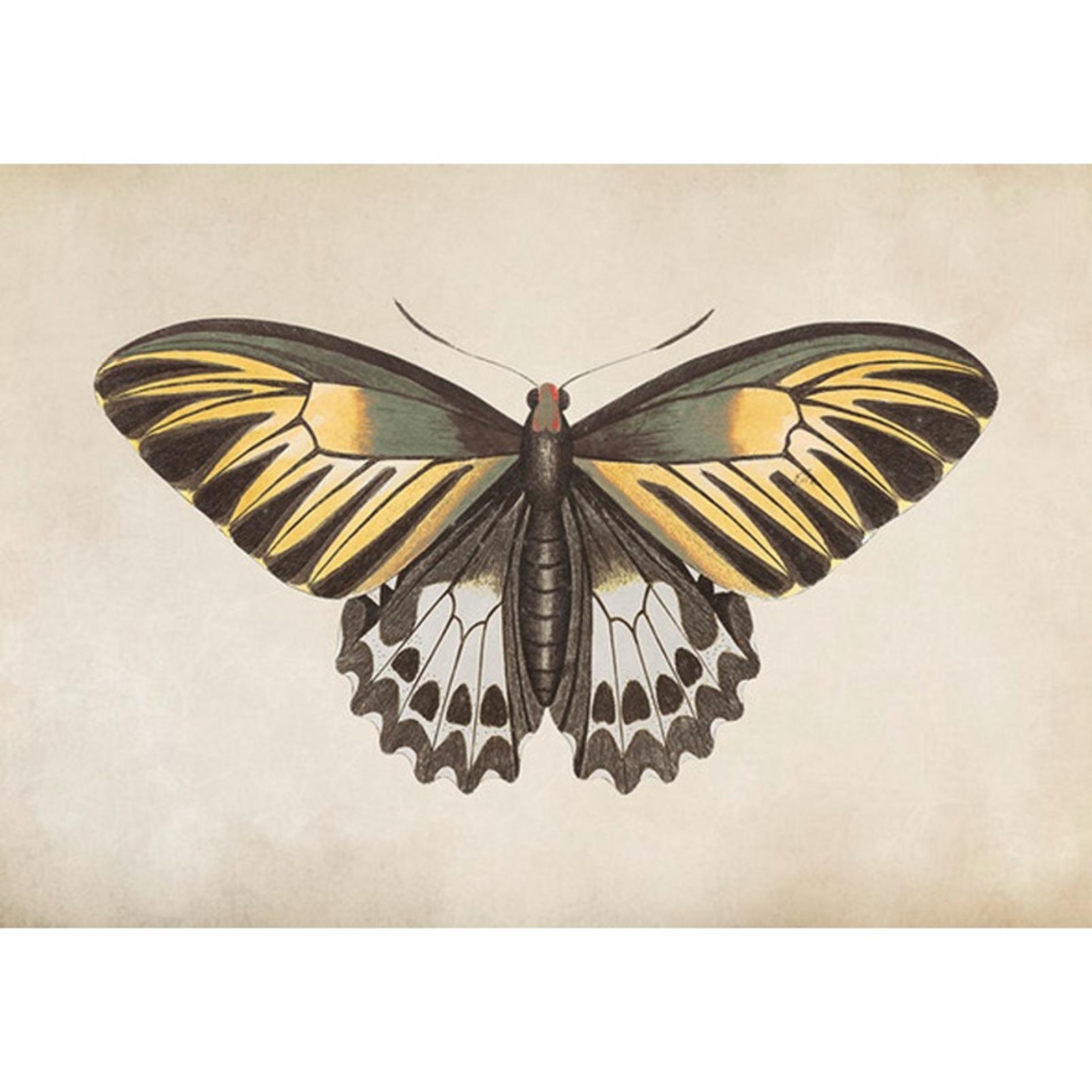 Whimsical Wings Yellow Wall Art - 136298_TILE_01.jpg