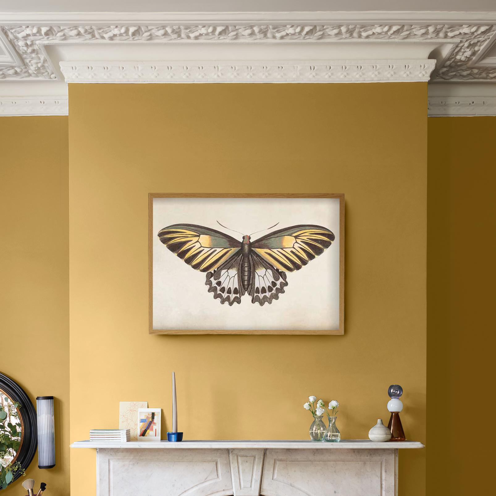 Whimsical Wings Yellow Wall Art - 136298_CAMEO_1.jpg