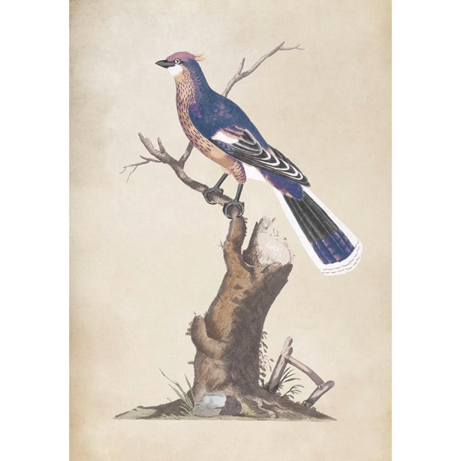 Perched Serenity Blue Wall Art - 136265_TILE_01.jpg