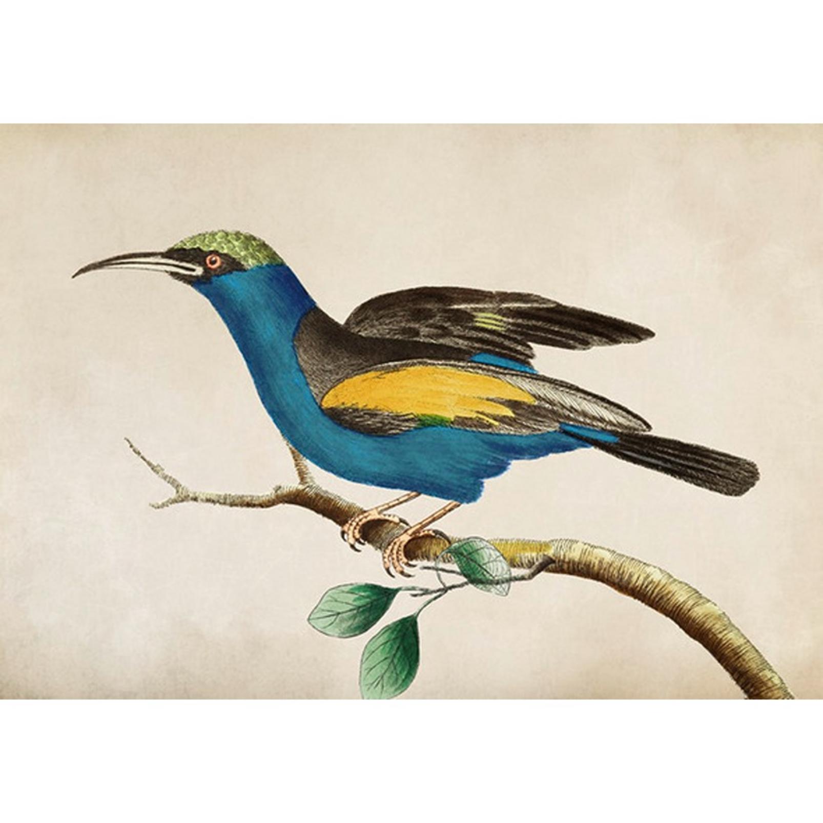 Ready for Flight Blue Wall Art - 139576_TILE_01.jpg