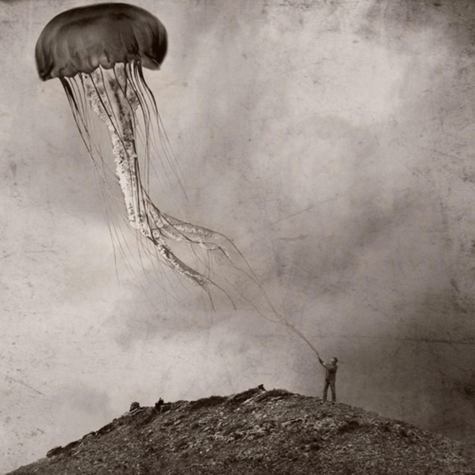 A Curious Companion Natural Wall Art - 136570_TILE_01.jpg