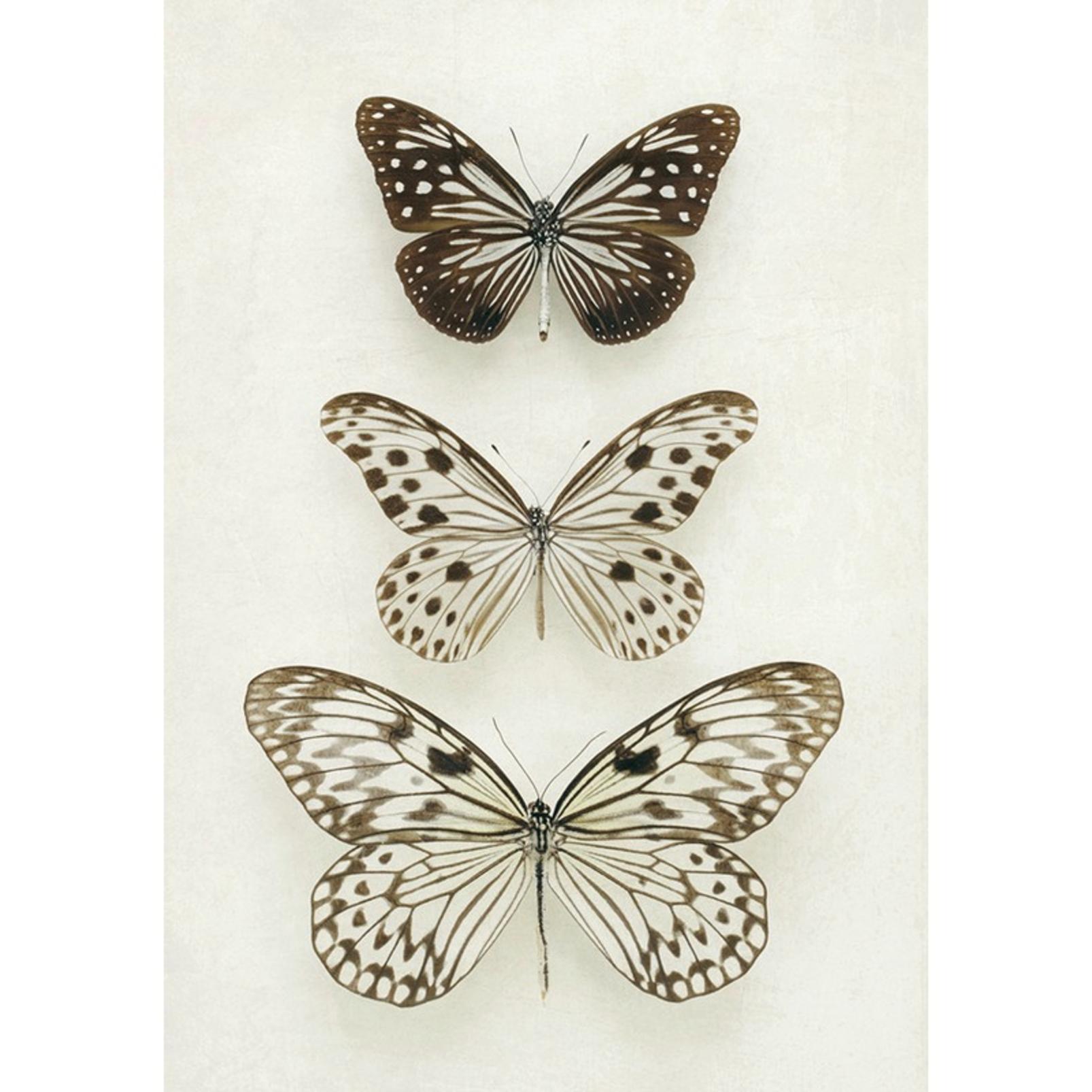 Neutral Butterflies Neutral Wall Art - 130438_TILE_01.jpg