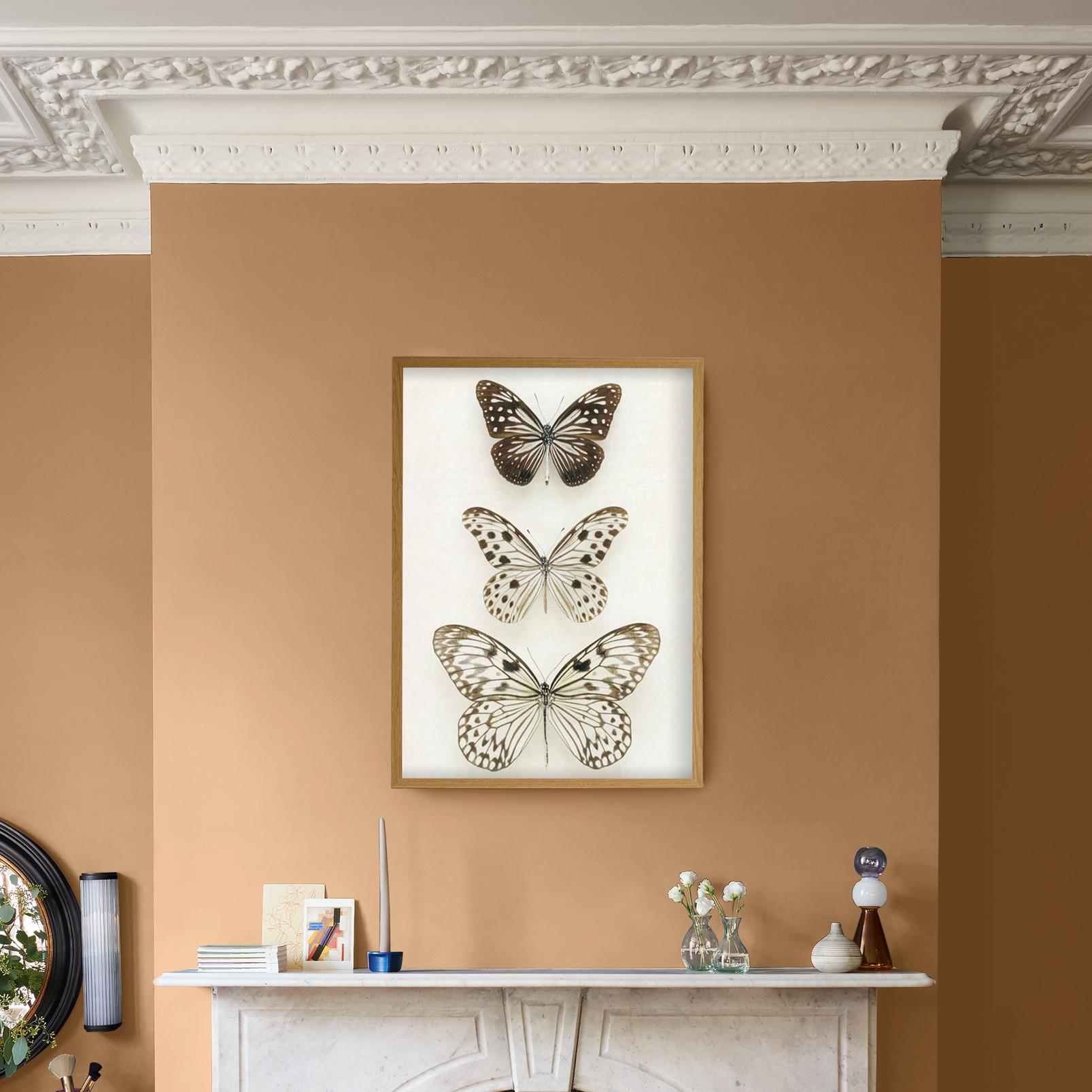 Neutral Butterflies Neutral Wall Art - 130438_CAMEO_1.jpg