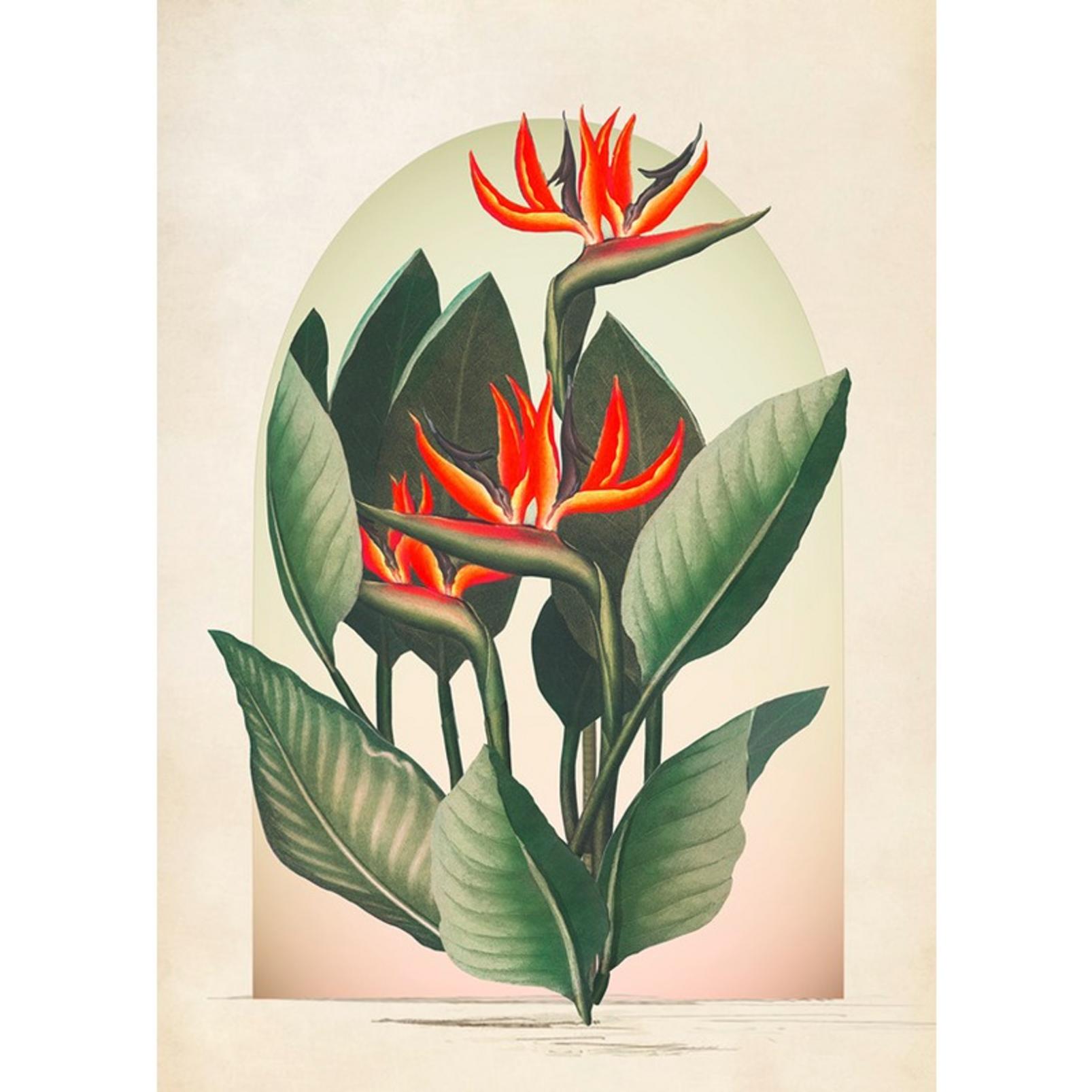 Botanique Jungle Exotic Floral Multicolour Wall Art - 137362_TILE_01.jpg