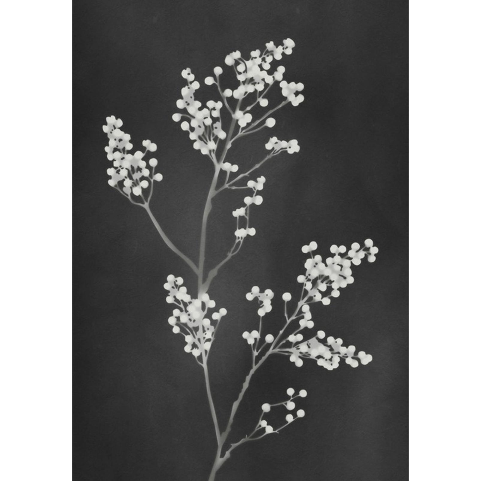 Flower Press Black Wall Art - 137263_TILE_01.jpg