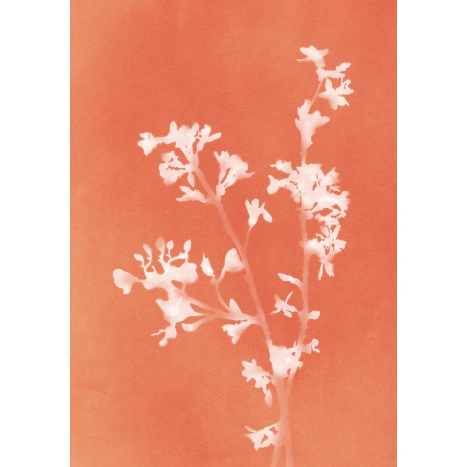 Flower Press Orange Wall Art - 137197_TILE_01.jpg