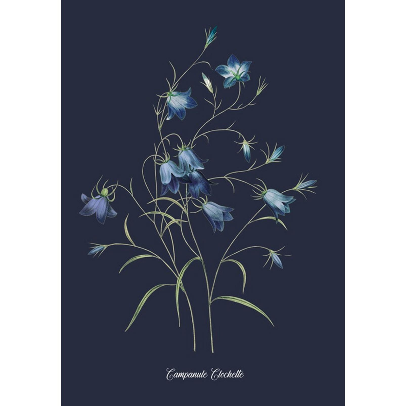 Glasshouse Bluebell Blue Wall Art - 137065_TILE_01.jpg