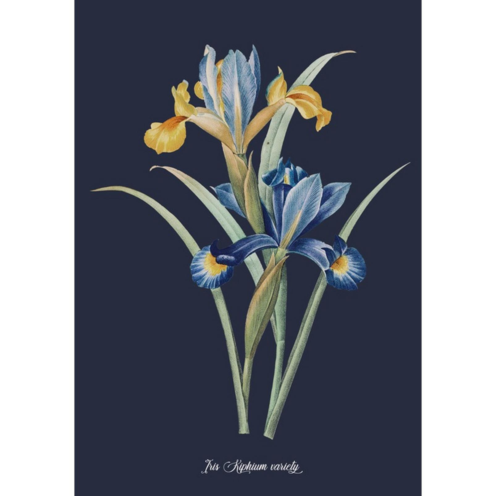 Glasshouse Iris Blue Wall Art - 137032_TILE_01.jpg