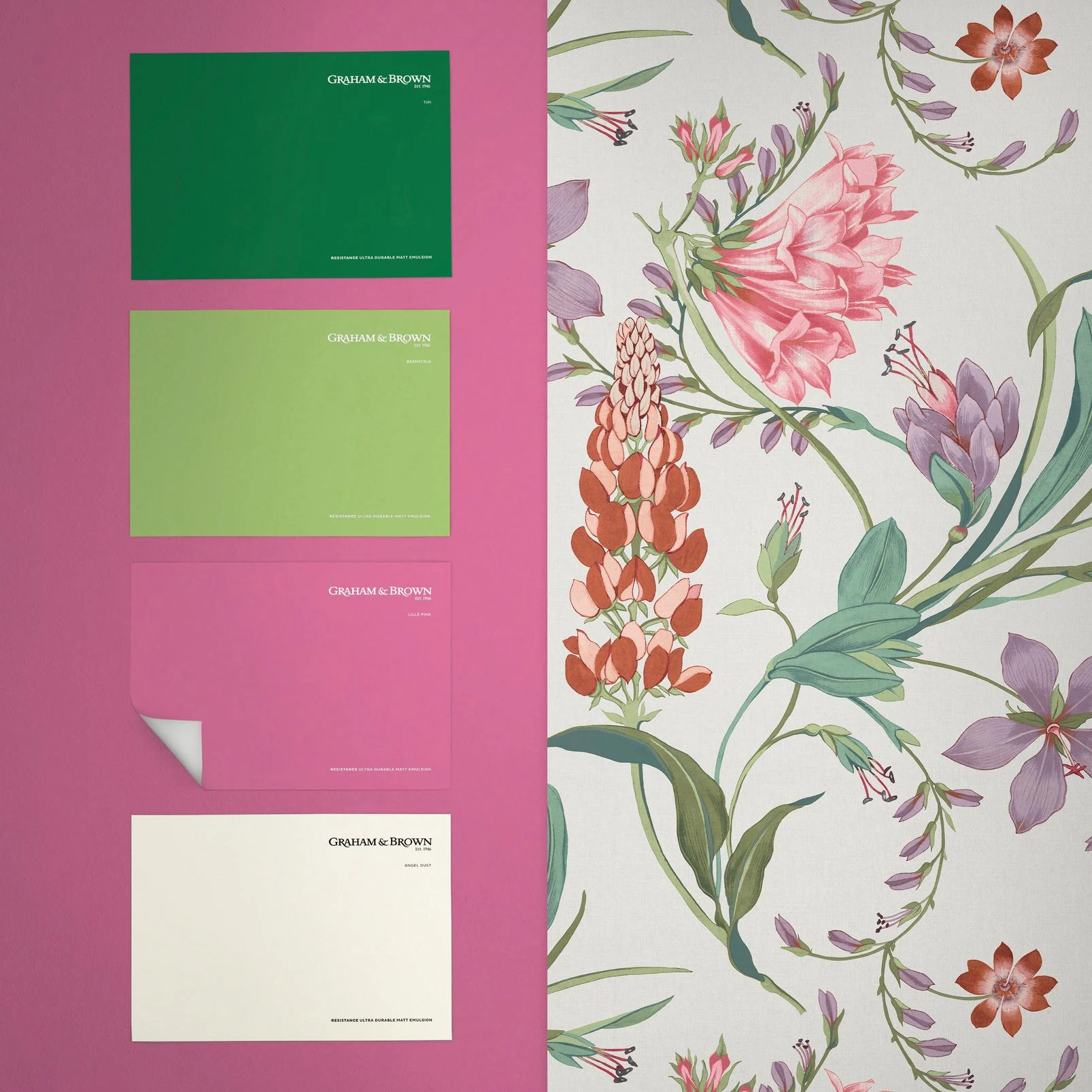 Botanist's Scroll Pink Wallpaper - 130296_FLATLAY_01.jpg