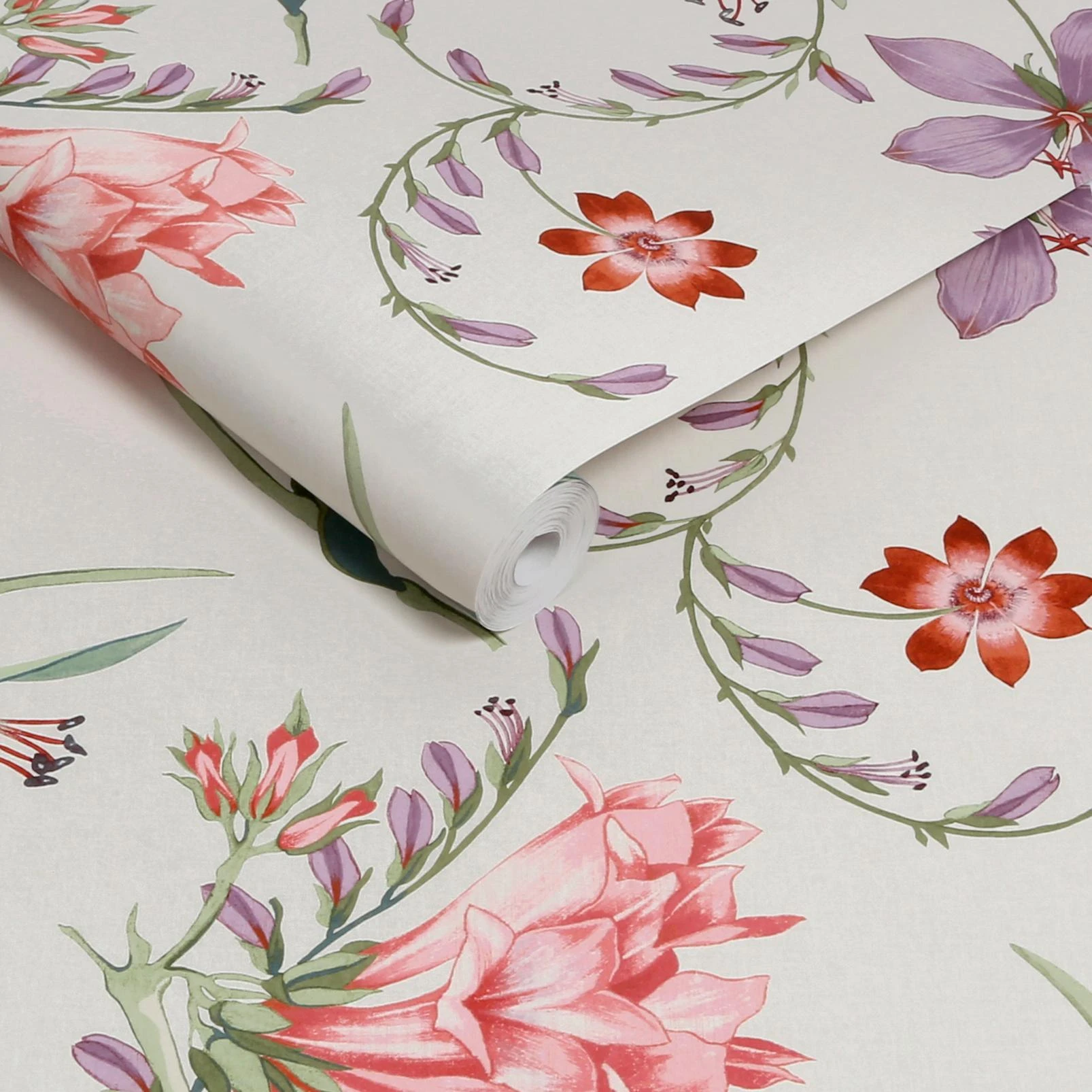 Botanist's Scroll Pink Wallpaper - 130296_ROLLSHOT_01.jpg