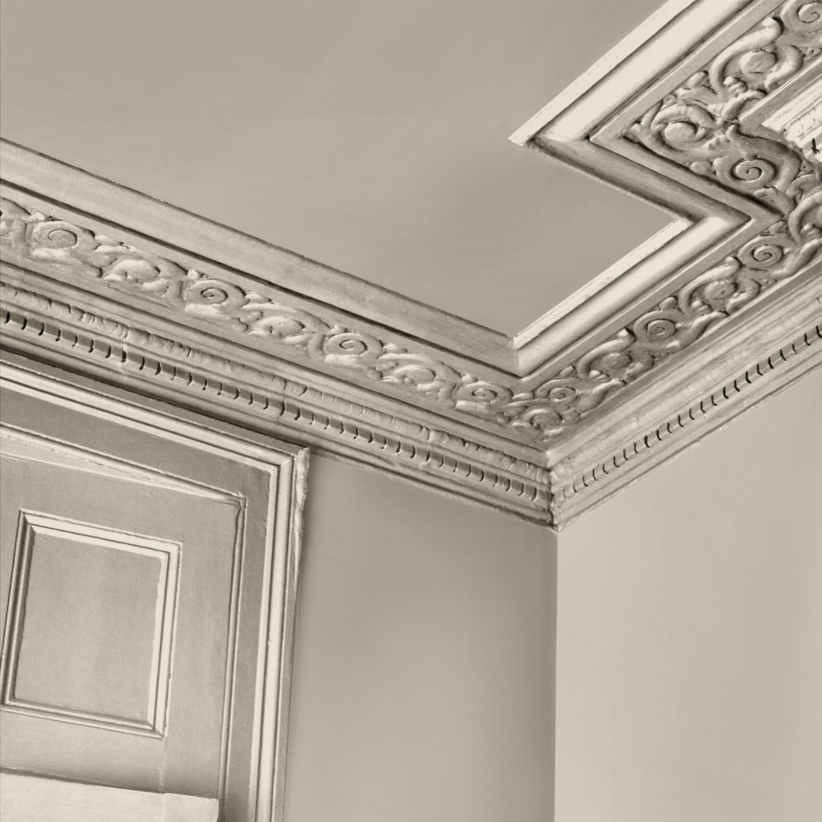 Abigail Ahern Anise Greige Paint - 131480_DETAIL_ANISE GREIGE_01.jpg