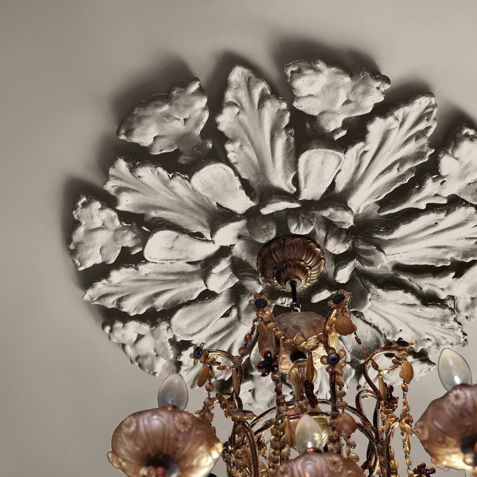 Abigail Ahern Anise Greige Paint - 131480_DETAIL_ANISE GREIGE_02.jpg