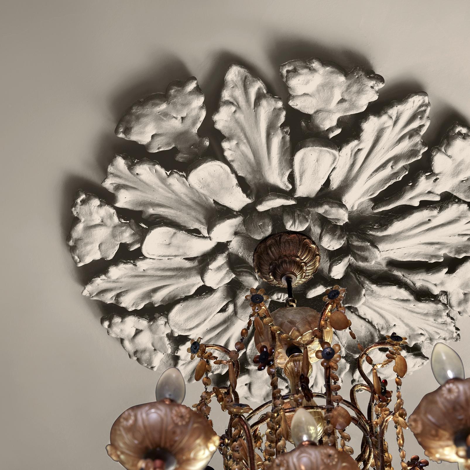 Abigail Ahern Loch Reeds Paint - 131479_DETAIL_LOCH REEDS_02.jpg