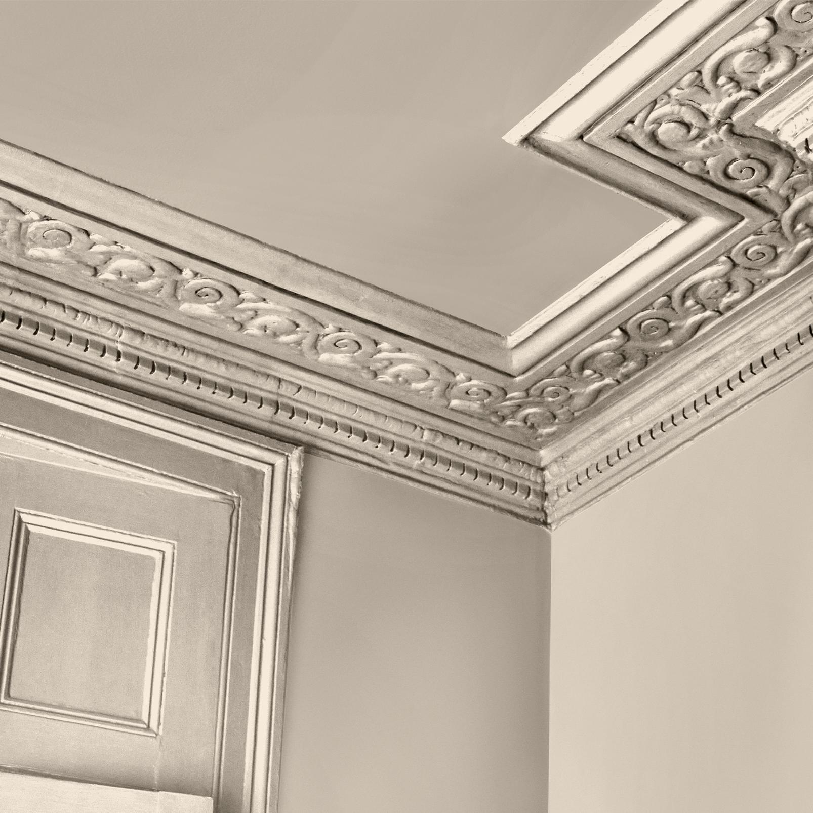 Abigail Ahern Loch Reeds Paint - 131479_DETAIL_LOCH REEDS_01.jpg