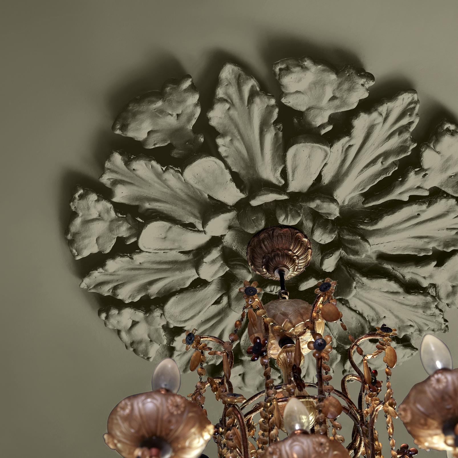 Abigail Ahern Wild Millet Paint - 131481_DETAIL_WILD MILLET_02.jpg