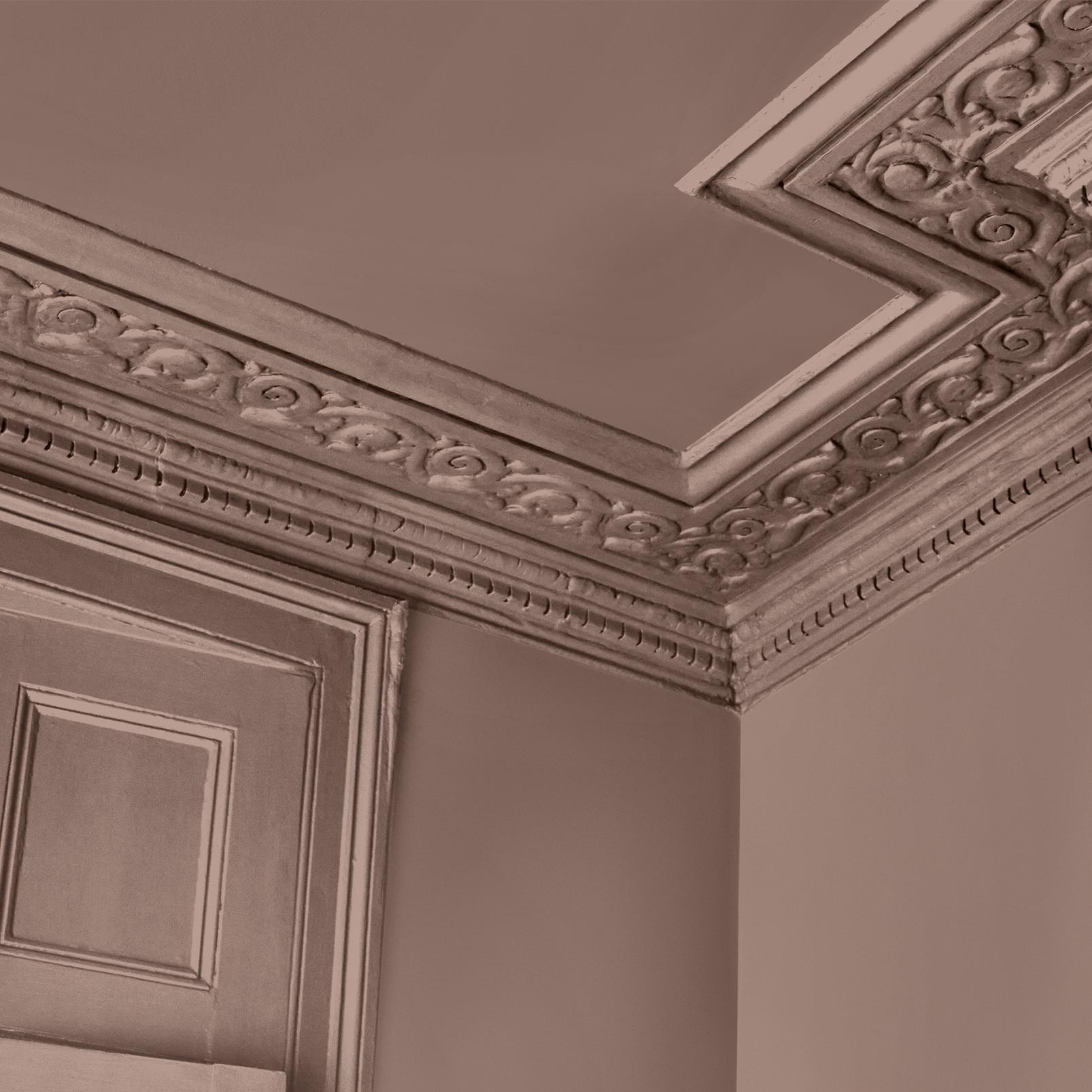 Abigail Ahern Sequoia Tree Paint - 131482_DETAIL_SEQUOIA TREE_01.jpg