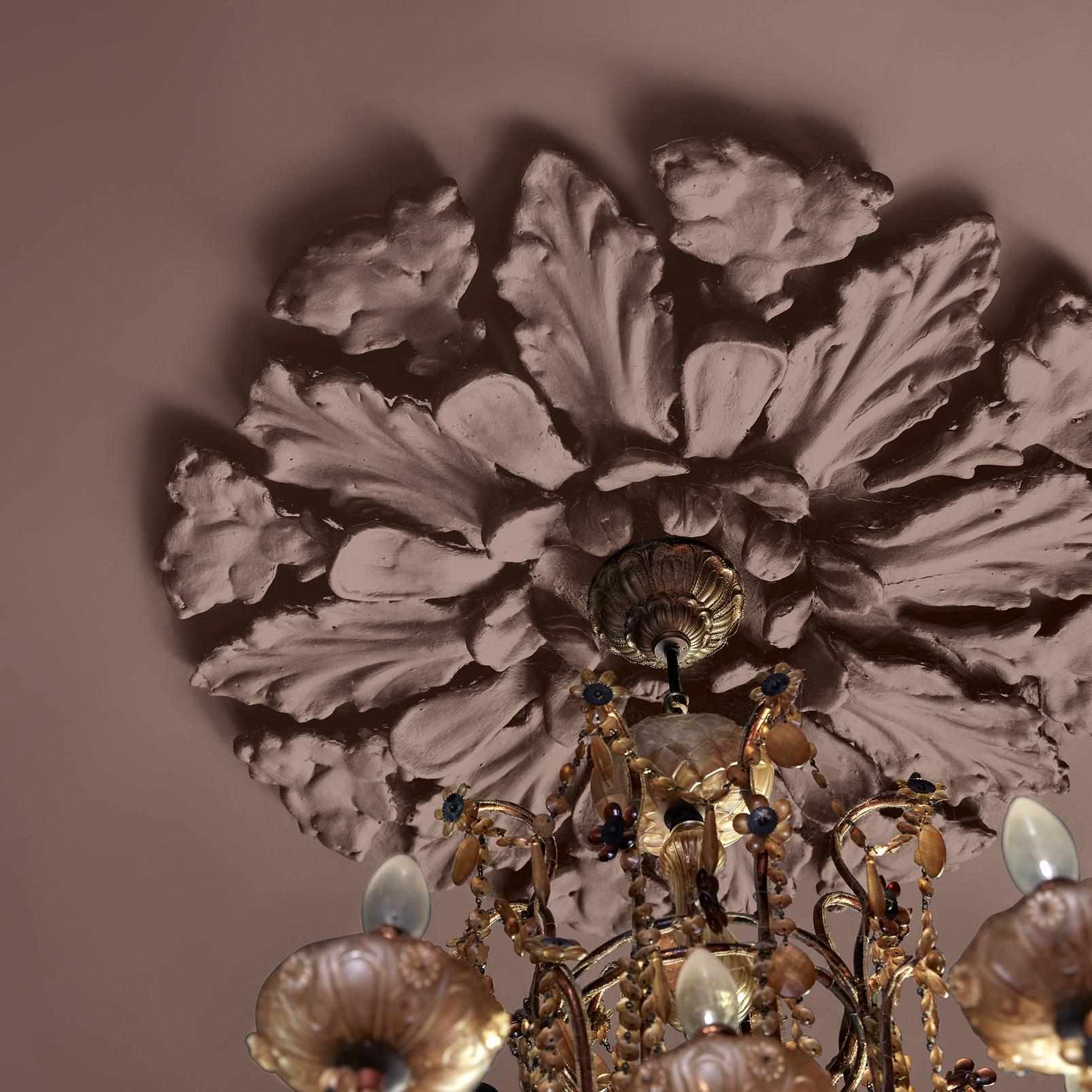 Abigail Ahern Sequoia Tree Paint - 131482_DETAIL_SEQUOIA TREE_02.jpg