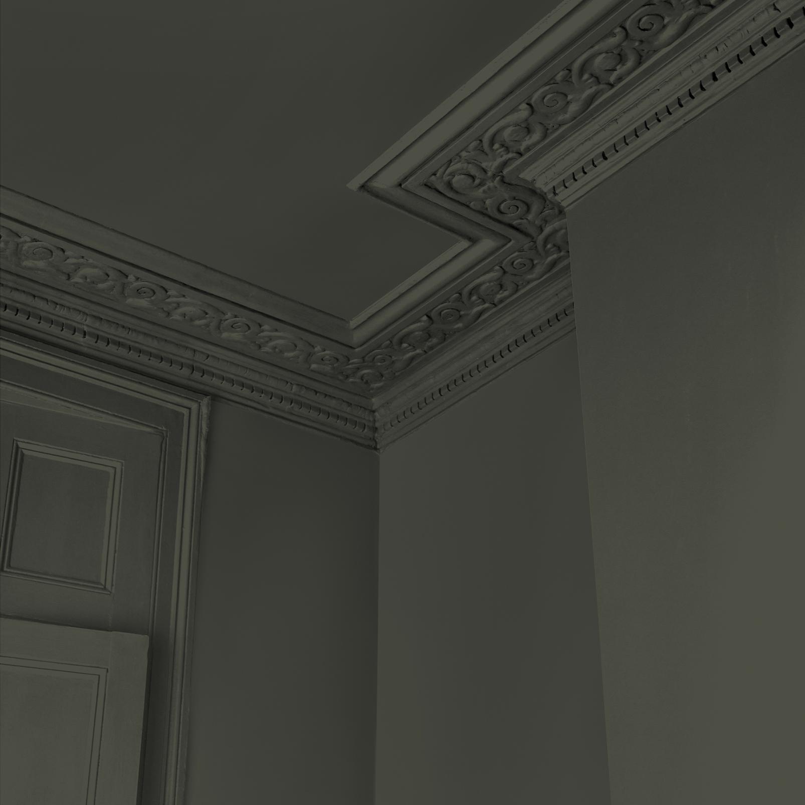 Abigail Ahern Sea Botanic Paint - 131484_DETAIL_SEA BOTANIC_04.jpg