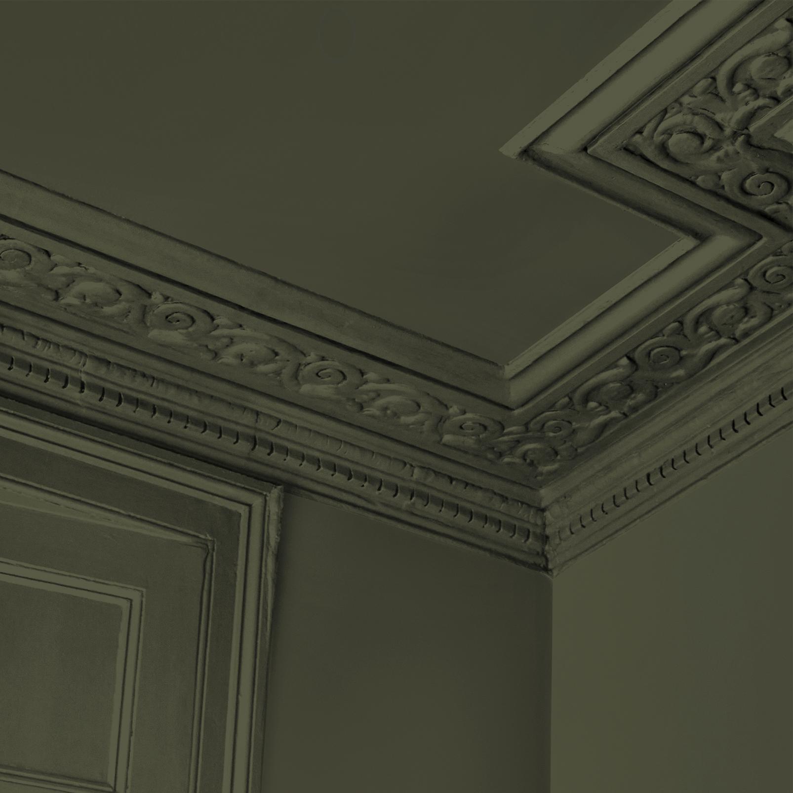 Abigail Ahern Sea Botanic Paint - 131484_DETAIL_SEA BOTANIC_01.jpg