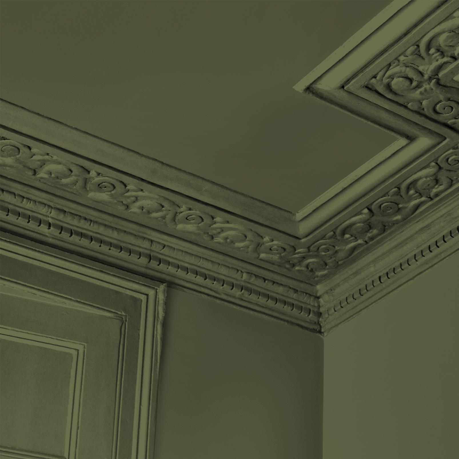 Abigail Ahern Seagrass Meadow Paint - 131485_DETAIL_SEAGRASS MEADOW_01.jpg