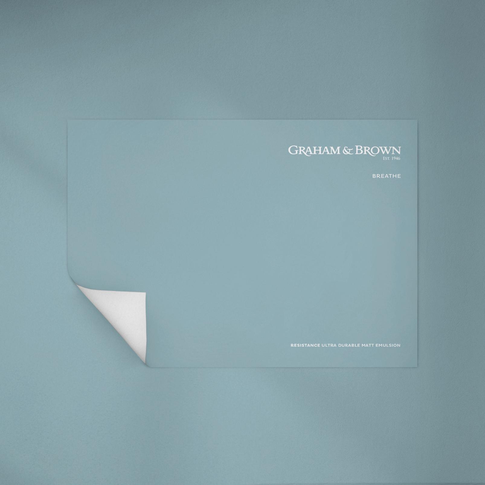 The Sensory Home Focus Peel and Stick Sample Pack - 142023_BREATHE-P&S_CAMEO_04.jpg