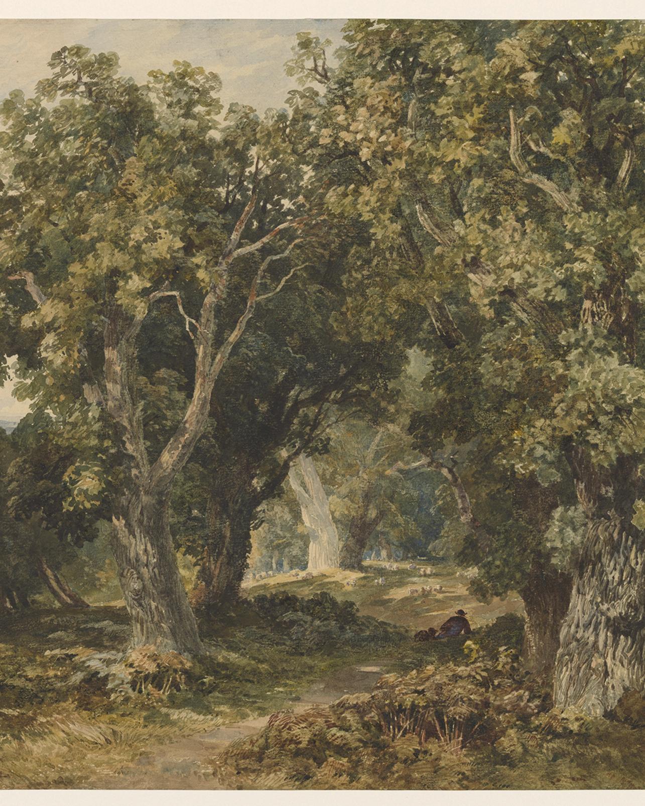 In Richmond Park Bespoke Mural - 142699_TILE_01.jpg