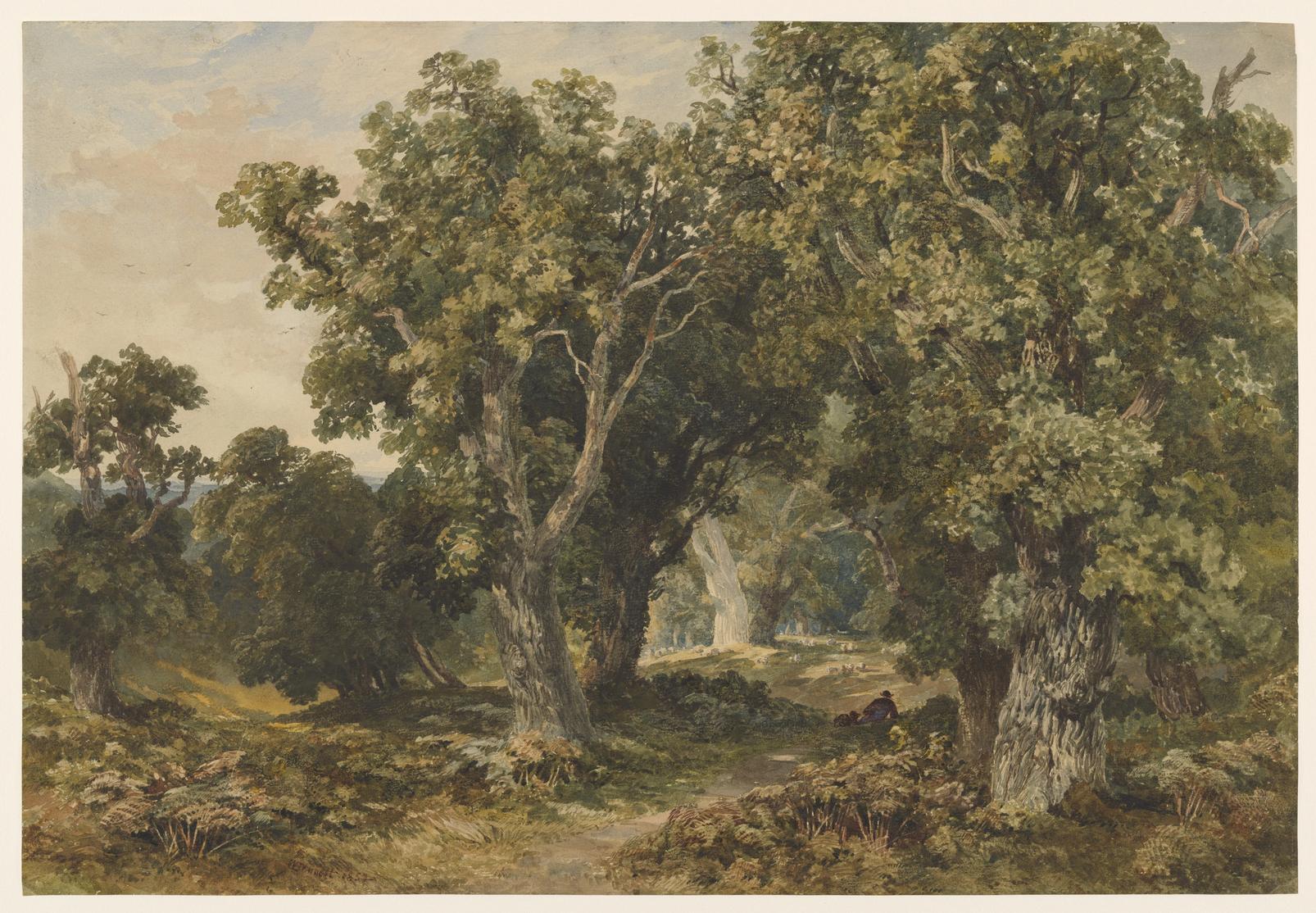 In Richmond Park Bespoke Mural. - 142699_MAINTILE_01.jpg