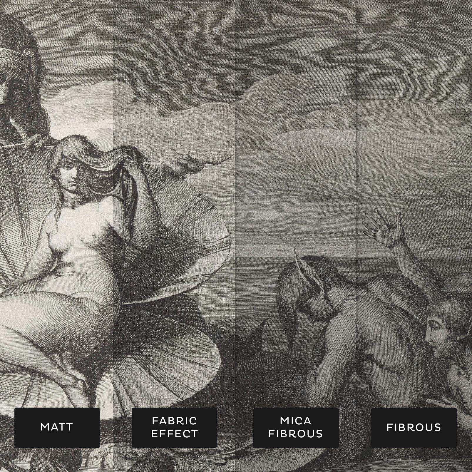 The Birth of Venus Bespoke Mural - 142708_SUBSTRATE_01.jpg