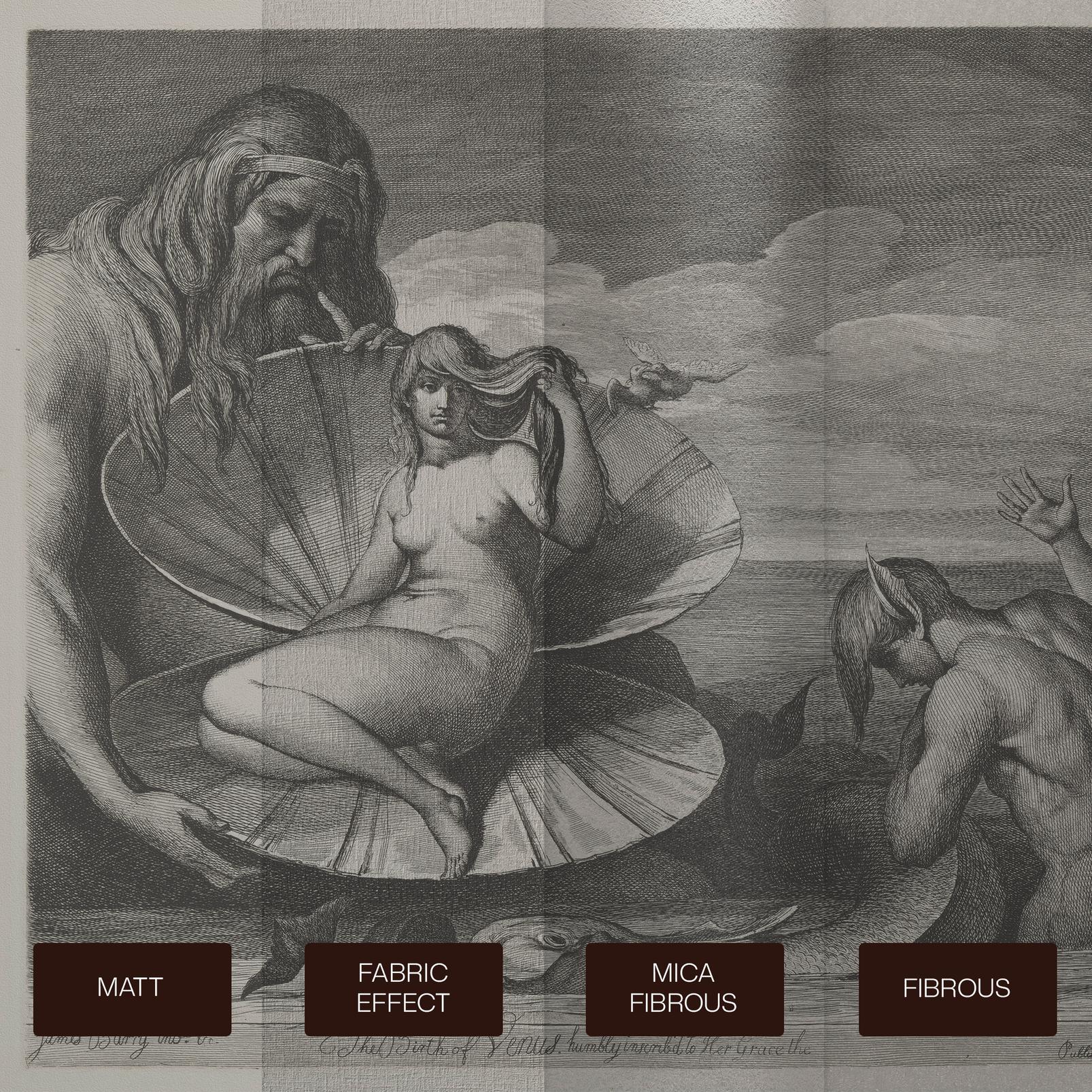 The Birth of Venus Bespoke Mural - 142708_SUBSTRATE_01.jpg
