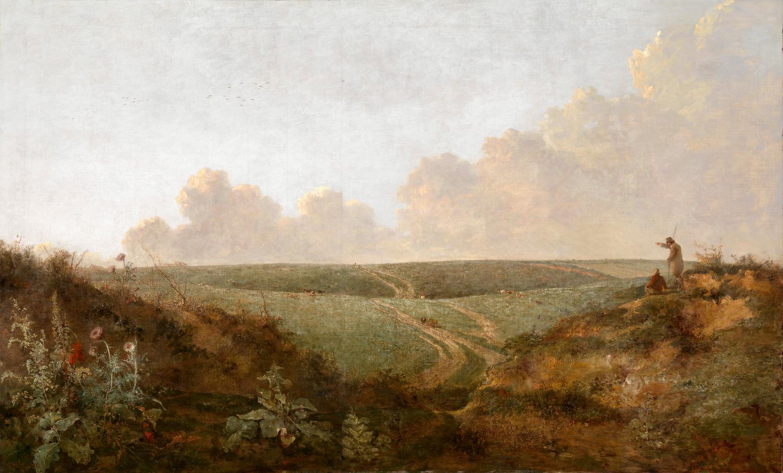 Mousehold Heath, Norwich Bespoke Mural - 142406_MAINTILE_01.jpg