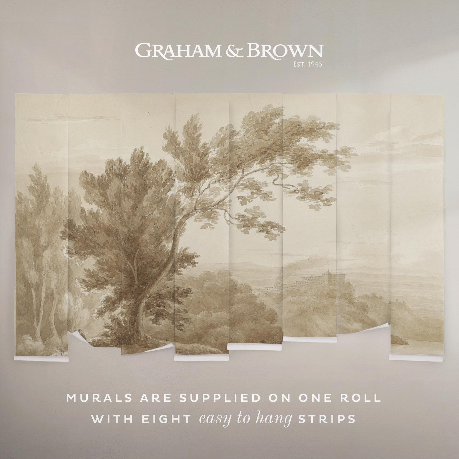 Lake Albano with the Goatherd Bespoke Mural - 142726_DETAIL_01.jpg