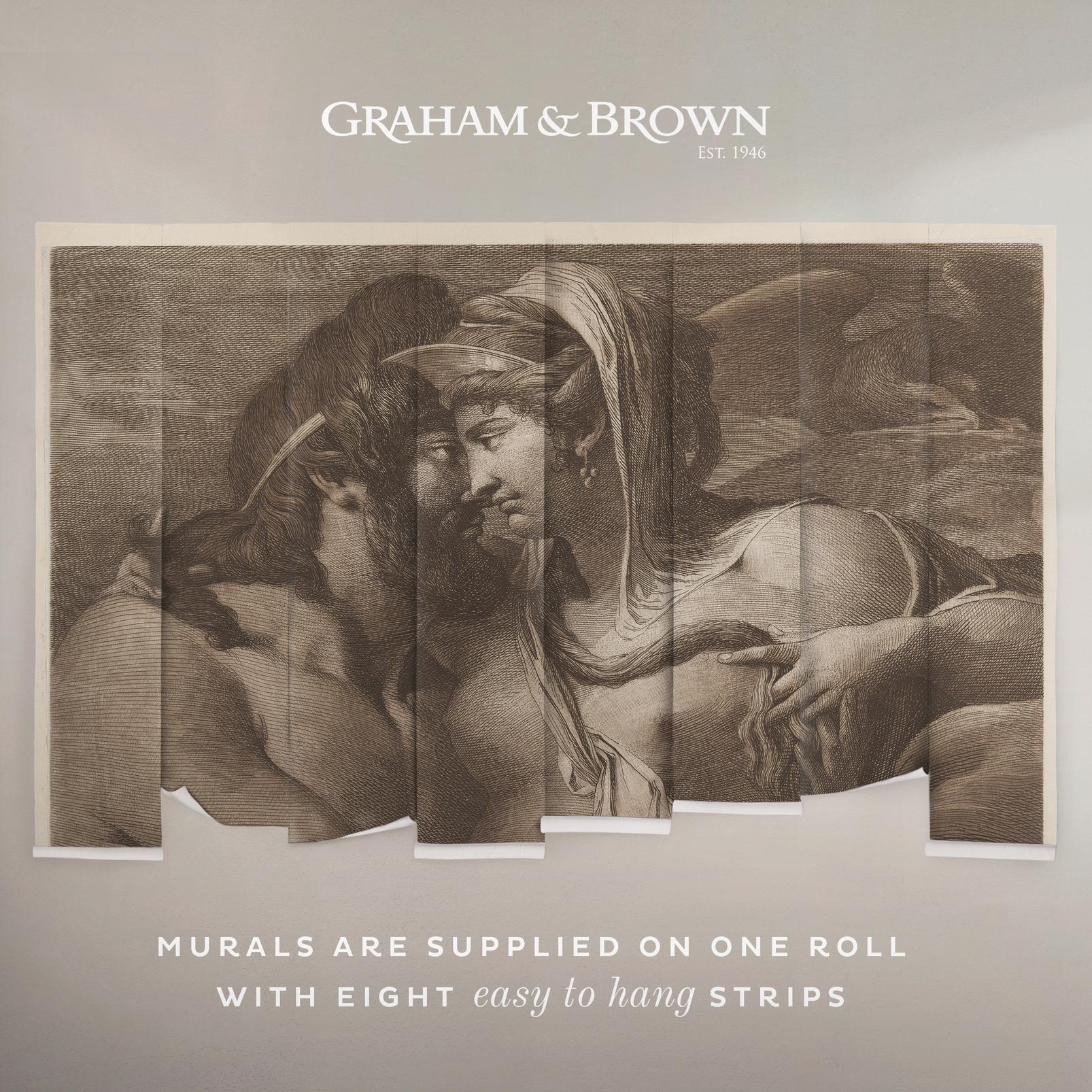 Jupiter and Juno on Mount Ida Bespoke Mural - 142717_DETAIL_01.jpg