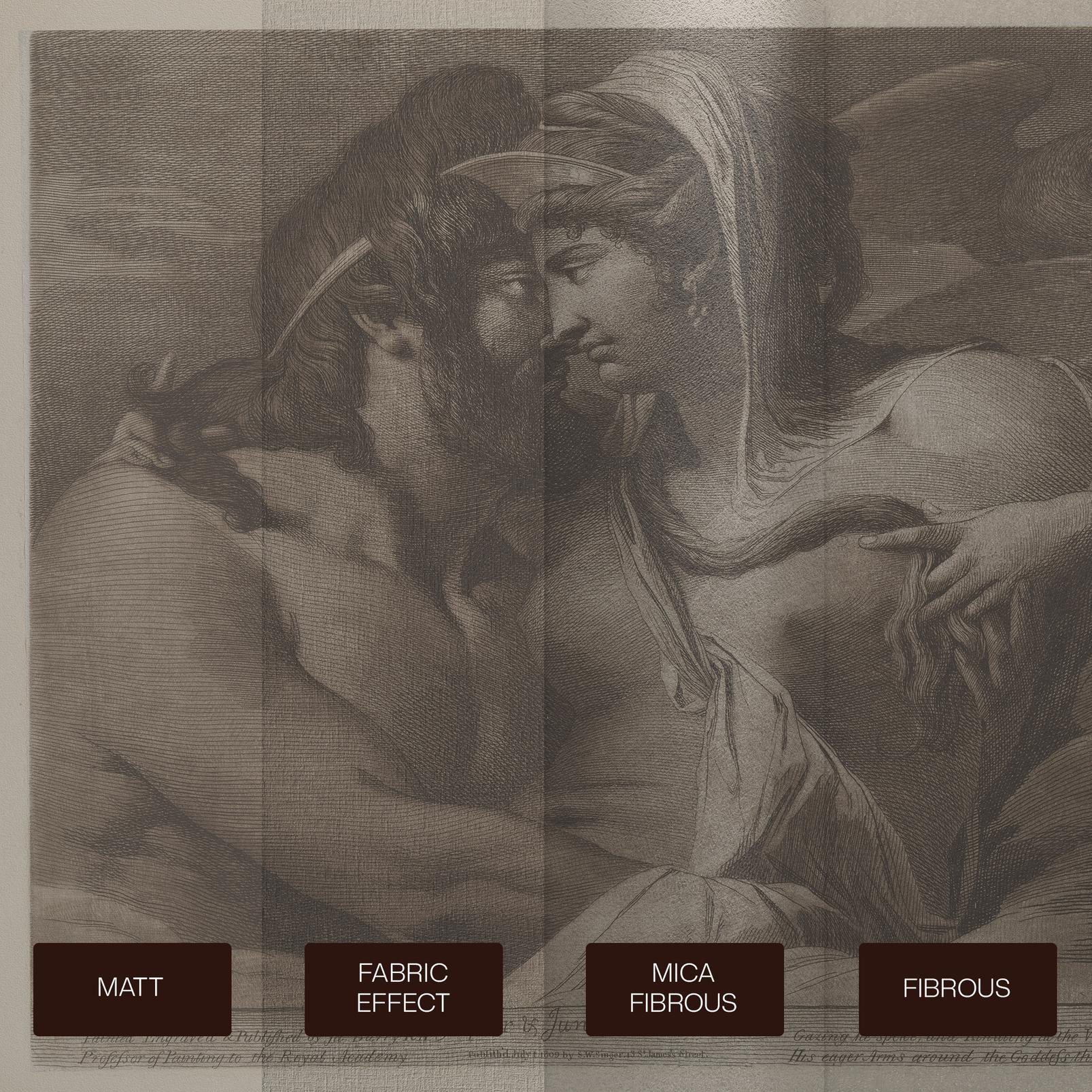 Jupiter and Juno on Mount Ida Bespoke Mural - 142717_SUBSTRATE_01.jpg